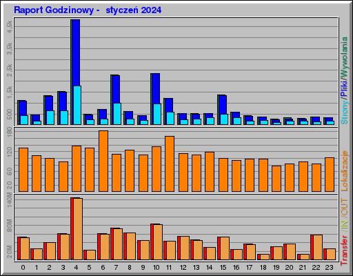 Raport Godzinowy -  styczeń 2024