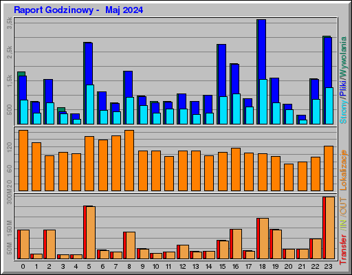 Raport Godzinowy -  Maj 2024