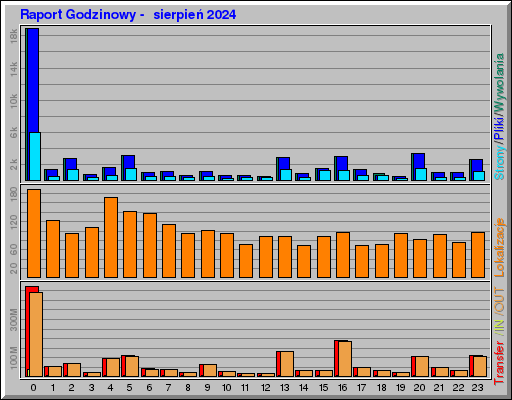 Raport Godzinowy -  sierpień 2024