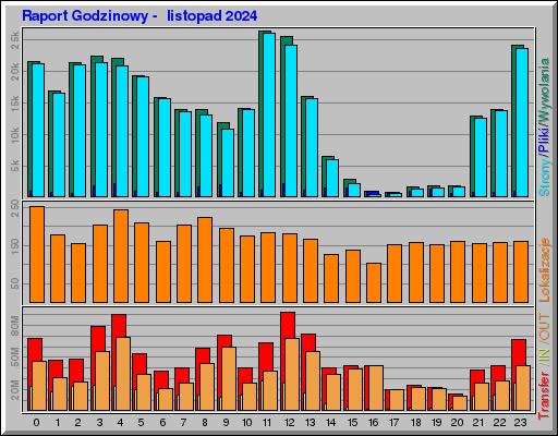 Raport Godzinowy -  listopad 2024