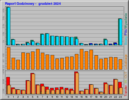 Raport Godzinowy -  grudzień 2024