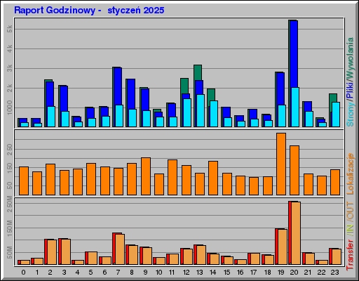 Raport Godzinowy -  styczeń 2025