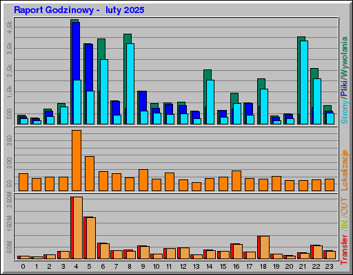 Raport Godzinowy -  luty 2025