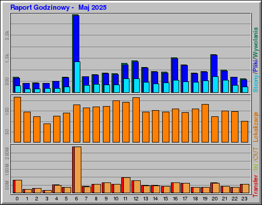 Raport Godzinowy -  Maj 2025