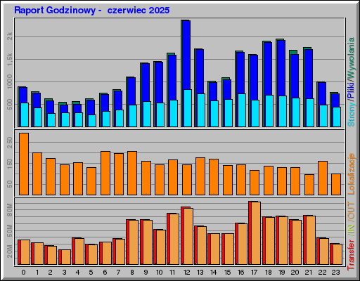 Raport Godzinowy -  czerwiec 2025