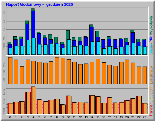 Raport Godzinowy -  grudzień 2025