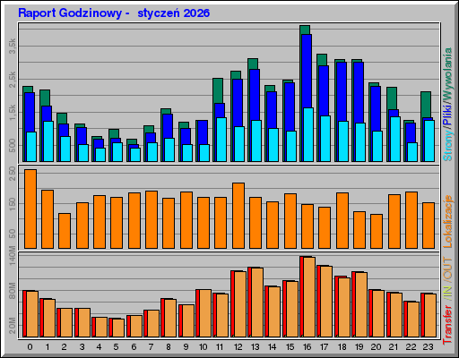 Raport Godzinowy -  styczeń 2026