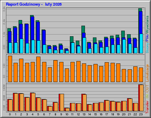 Raport Godzinowy -  luty 2026