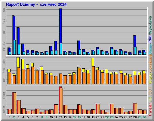 Raport Dzienny -  czerwiec 2024