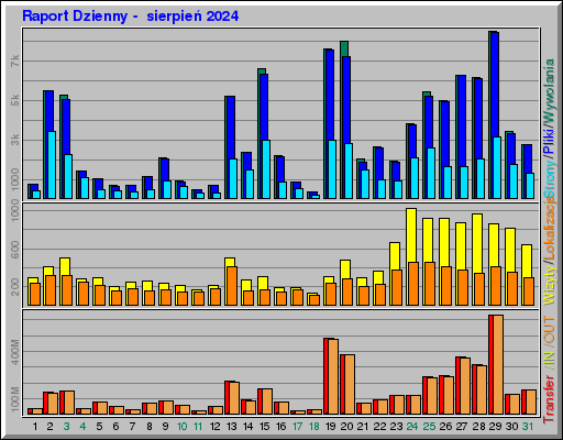 Raport Dzienny -  sierpień 2024