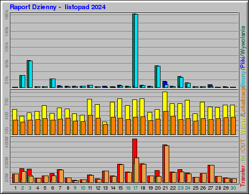 Raport Dzienny -  listopad 2024