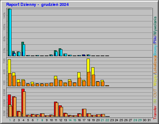 Raport Dzienny -  grudzień 2024