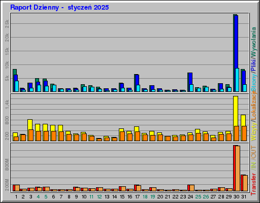 Raport Dzienny -  styczeń 2025