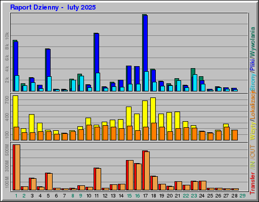 Raport Dzienny -  luty 2025