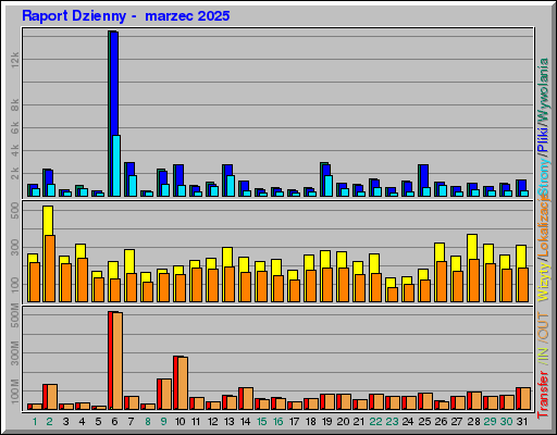 Raport Dzienny -  marzec 2025