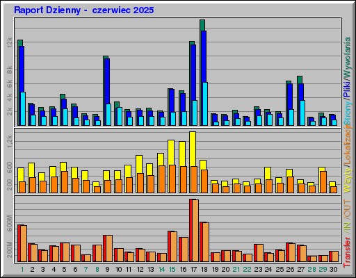 Raport Dzienny -  czerwiec 2025