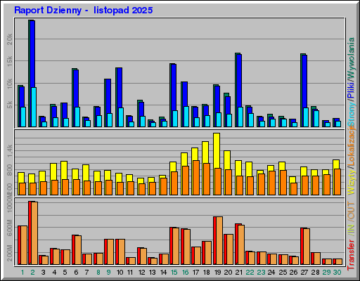 Raport Dzienny -  listopad 2025