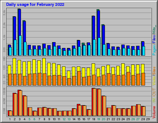 Raport Dzienny -  luty 2022