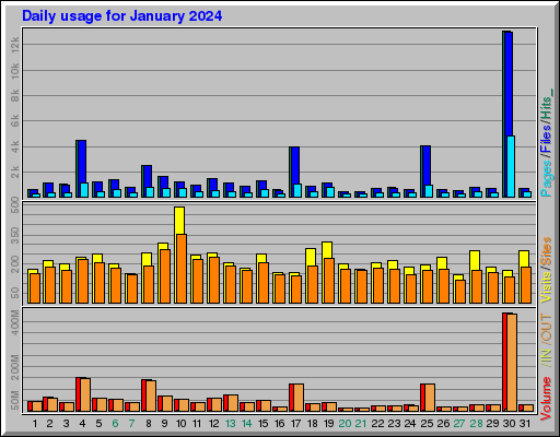 Raport Dzienny -  styczeń 2024