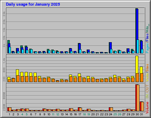 Raport Dzienny - styczeń 2025 Raport Dzienny - styczeń 2025