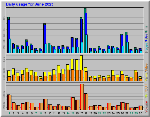 Raport Dzienny -  czerwiec 2025