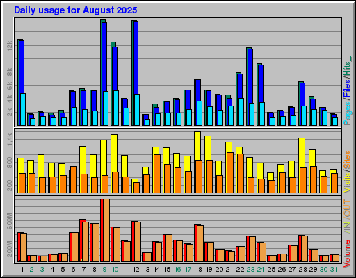 Raport Dzienny -  sierpień 2025