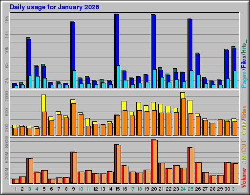 Raport Dzienny - styczeń 2026 Raport Dzienny - styczeń 2026