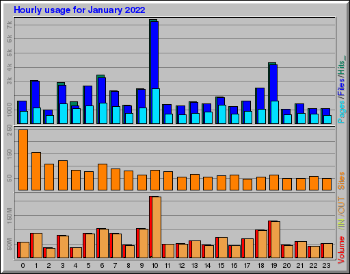 Raport Godzinowy -  styczeń 2022