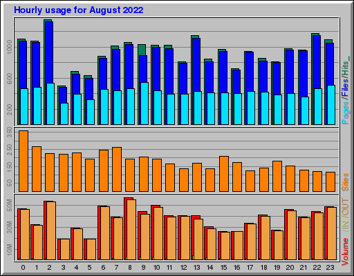 Raport Godzinowy -  sierpień 2022