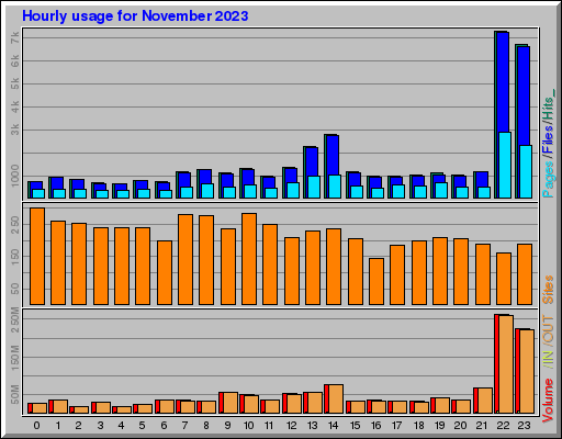 Raport Godzinowy -  listopad 2023