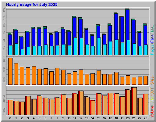 Raport Godzinowy -  lipiec 2025