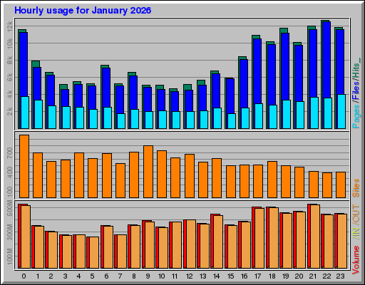 Raport Godzinowy - styczeń 2026 Raport Godzinowy - styczeń 2026