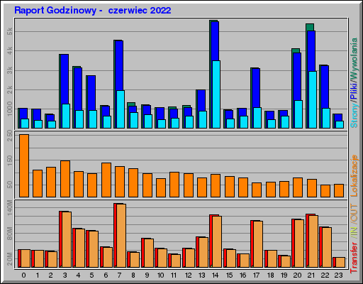 Raport Godzinowy -  czerwiec 2022