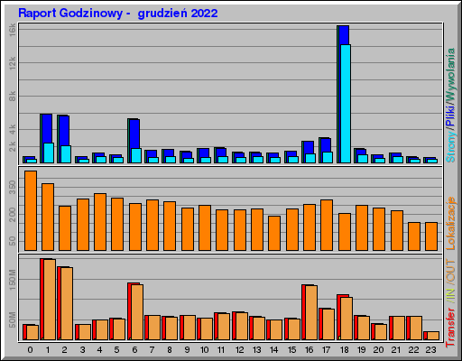 Raport Godzinowy -  grudzień 2022