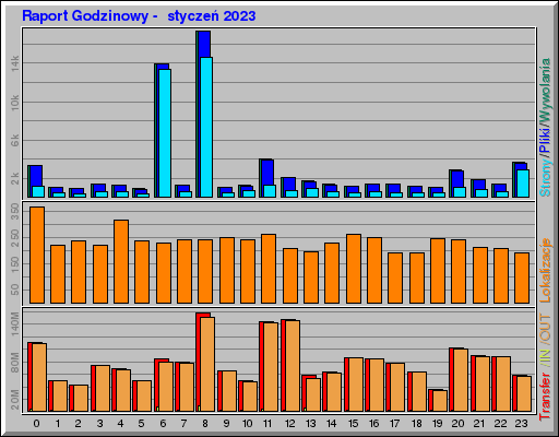Raport Godzinowy -  styczeń 2023