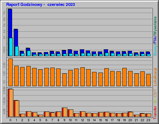 Raport Godzinowy -  czerwiec 2023