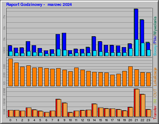 Raport Godzinowy -  marzec 2024