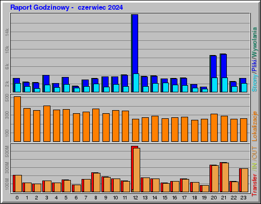 Raport Godzinowy -  czerwiec 2024