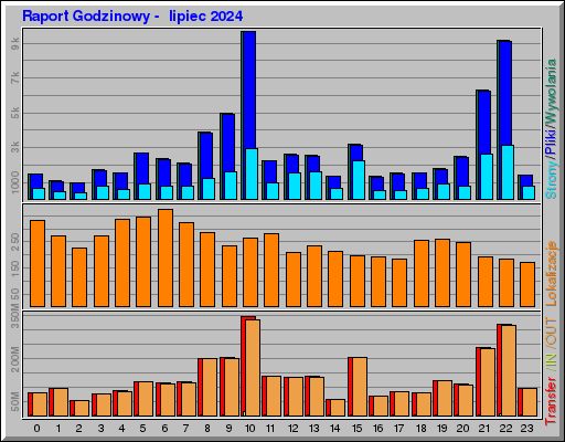 Raport Godzinowy -  lipiec 2024