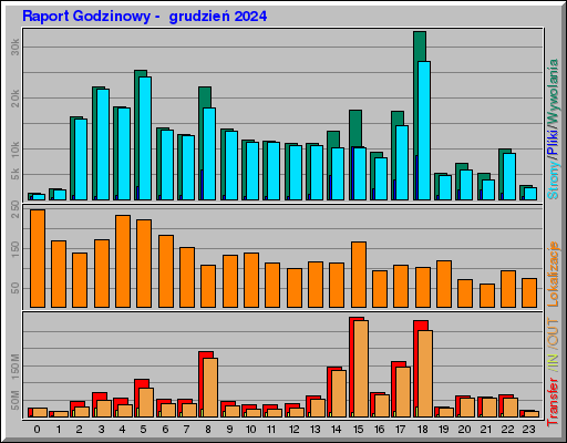 Raport Godzinowy -  grudzień 2024