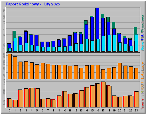 Raport Godzinowy -  luty 2025