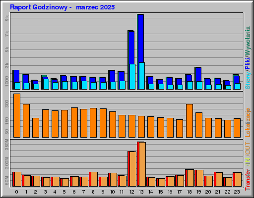 Raport Godzinowy -  marzec 2025
