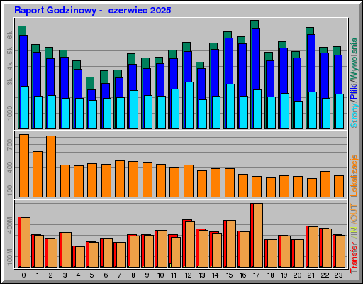 Raport Godzinowy -  czerwiec 2025