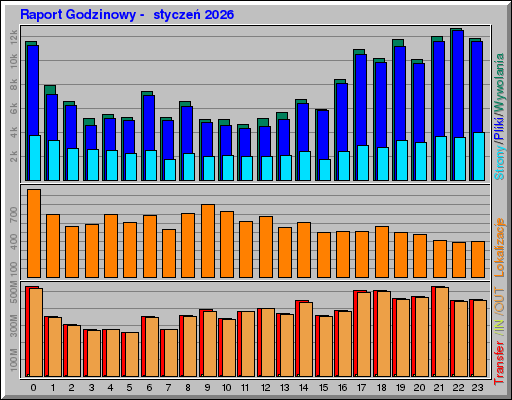 Raport Godzinowy -  styczeń 2026